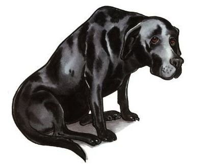 what is black dog depression